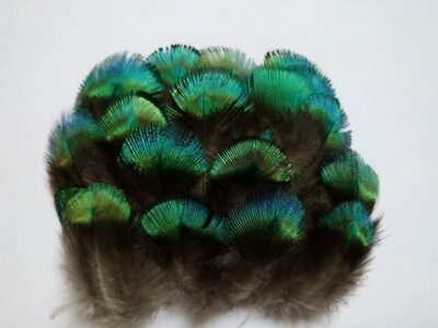 Зеленые перья павлина 4-5 см. 10 шт
