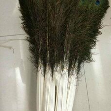 Натуральные перья павлина 70-80 см. 1 шт.