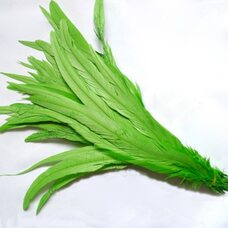 Перья петуха 30-35 см. 1 шт. Салатовый цвет