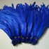 Перья петуха 35-40 см. 1 шт. Синего цвета