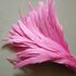 Перья петуха 35-40 см. 1 шт. Розовый цвет