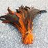 Перья петуха двухцветные 30-35 см. Оранжевый цвет