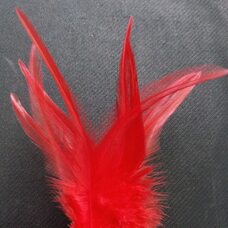 Перья петуха 10-15 см. 20 шт. Красного цвета