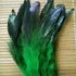 Перья петуха двухцветные 12-18 см. 20 шт. Зеленого цвета