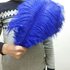 Перья страуса 35-40 см. Синий цвет