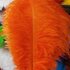 Премиум перья страуса 40-45 см. Оранжевый цвет
