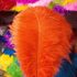 Премиум перья страуса 40-45 см. Оранжевый цвет