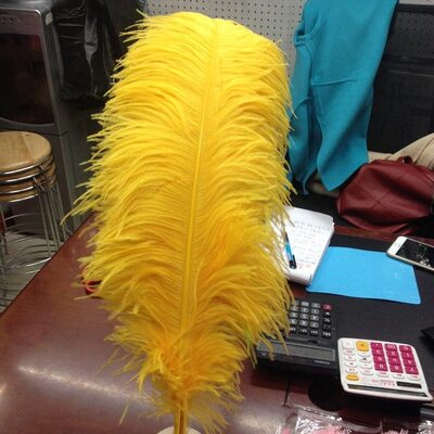 Премиум перья страуса 45-50 см. Цвет Golden