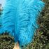 Премиум перья страуса 50-55 см. Голубой цвет