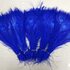 Цветные перья павлина 25-30 см. Синего цвета