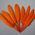 Перья утиные 10-15 см. 20 шт. Оранжевый цвет
