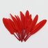 Перья утиные 10-15 см. 20 шт. Красный цвет