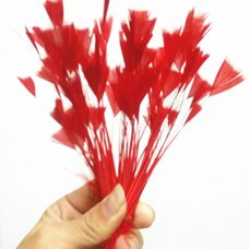 Перья индейки "Геометрия" 10-15 см. 20 шт. Красный цвет
