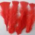 Плоские перья индейки 12-18 см. 20 шт. Красный цвет