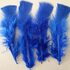 Плоские перья индейки 12-18 см. 20 шт. Синий цвет
