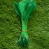Перья гуся на ножке 13-18 см. 10 шт. Зеленого цвета