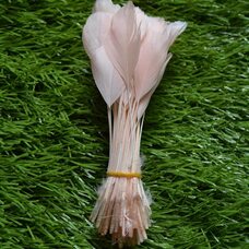 Перья гуся на ножке 13-18 см. 10 шт. Нежно розовый цвет