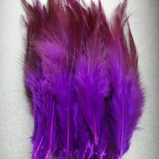 Перья петуха двухцветные 10-15 см. 50 шт. Фиолетовый цвет