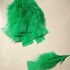 Плоские перья индейки 12-18 см. 20 шт. Зеленый цвет