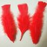 Плоские перья индейки 12-18 см. 20 шт. Красный цвет
