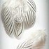Декоративные перья серебряного Pheasаnt 10-15 см. 10 шт.