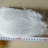Декоративные перья серебряного Pheasаnt 18-25 см. 1 шт.