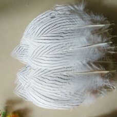 Декоративные перья серебряного фазана 24-29 см. 1 шт.
