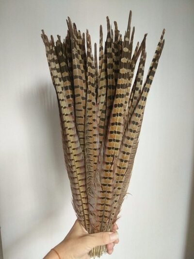 Декоративные перья Pheasаnt 55-60 см. 1 шт. Натуральный цвет