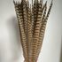 Декоративные перья Pheasаnt 55-60 см. 1 шт. Натуральный цвет
