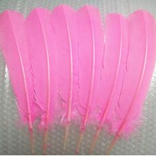 Гусиное перо 27-33 см. 1 шт. Розового цвета