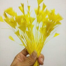 Перья индейки "Геометрия" 10-15 см. 20 шт. Желтый цвет