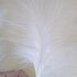 Перья марабу (лебяжьи) 10-16 см. 20 шт. Белые