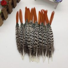 Декоративные перья 20-25 см. 1 шт.