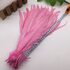 Перья петуха 30-35 см. 1 шт. Розовый цвет