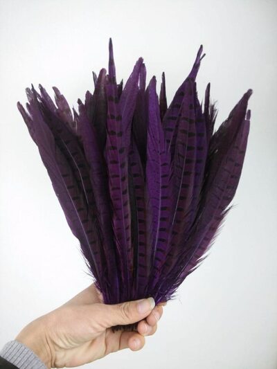 Декоративные перья Pheasаnt 25-30 см. Фиолетовые