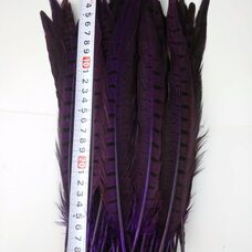 Декоративные перья 25-30 см. Фиолетовые