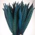 Декоративные перья Pheasаnt 25-30 см. Голубые