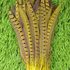 Декоративные перья Pheasаnt 25-30 см. Желтые