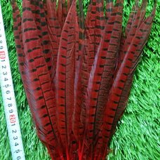 Декоративные перья 25-30 см. Красные