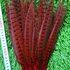 Декоративные перья Pheasаnt 25-30 см. Красные
