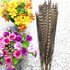 Декоративные перья Pheasаnt 35-40 см. Натурального цвета
