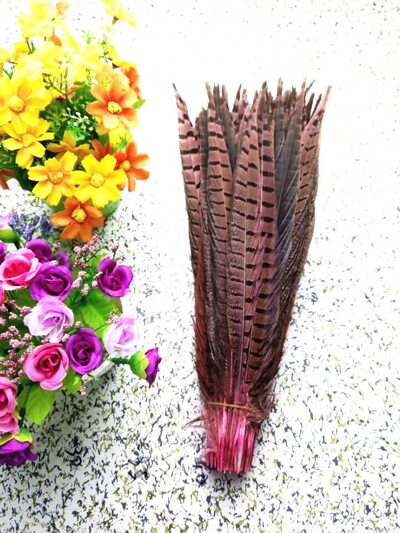 Декоративные перья Pheasаnt 30-35 см. Розовые