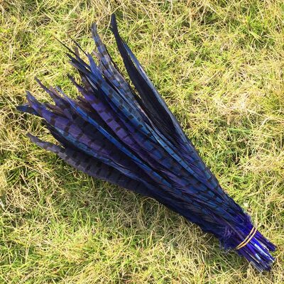 Декоративные перья Pheasаnt 30-35 см. Синего цвета