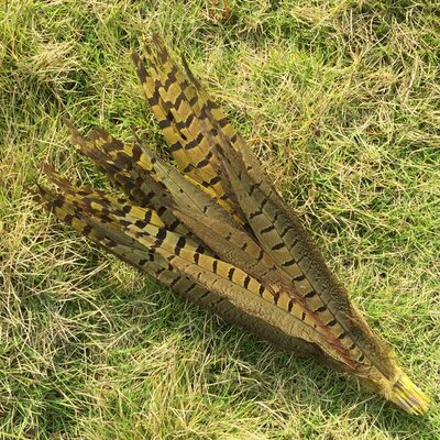 Декоративные перья Pheasаnt 30-35 см. Желтые