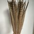 Декоративные перья Pheasаnt 45-50 см. Натуральный цвет
