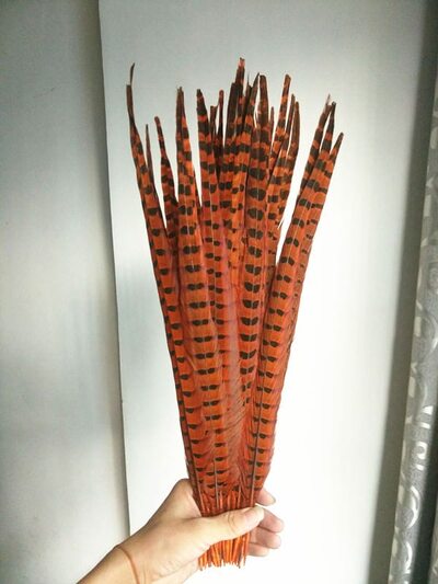 Декоративные перья Pheasаnt 45-50 см. Оранжевые