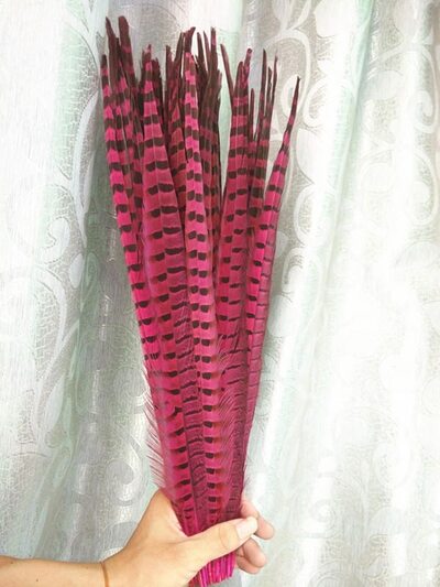 Декоративные перья Pheasаnt 45-50 см. Фуксия