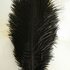 Перья страуса 25-30 см. Черный цвет