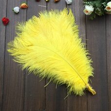 Перья страуса 35-40 см. Желтый цвет
