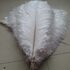 Премиум перья страуса 40-45 см. Белый цвет